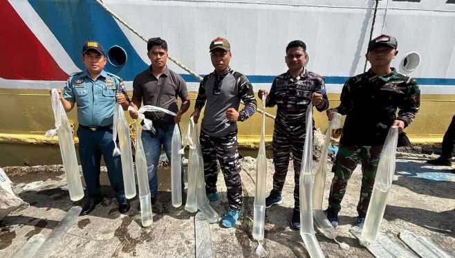 KM Sabuk Nusantara 106 Disatroni Petugas, 620 Liter Miras Tradisional Gagal Beredar IMG_20260512_171515.jpg