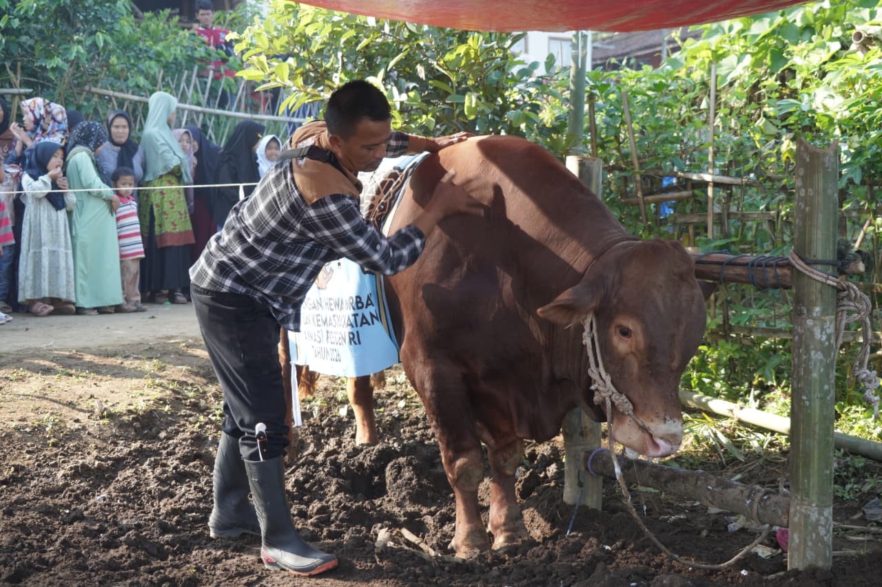 Warga Cigedug Garut Terima Bantuan Hewan Kurban Presiden RI Tahun 2026