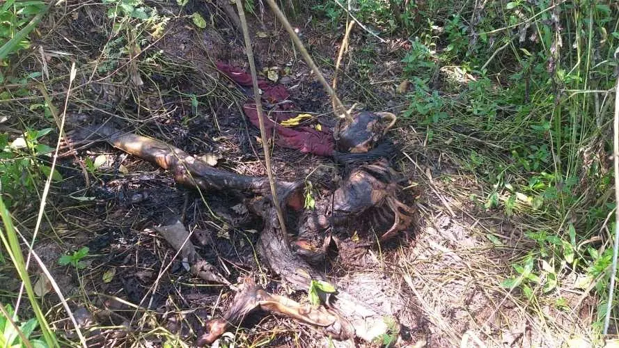 Warga Sukabumi Geger, Temukan Mayat Tanpa Identitas Sudah Membusuk